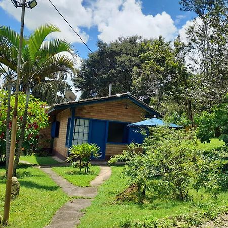 Pousada Balneario Cachoeira Do Moinho Belo Vale Zewnętrze zdjęcie