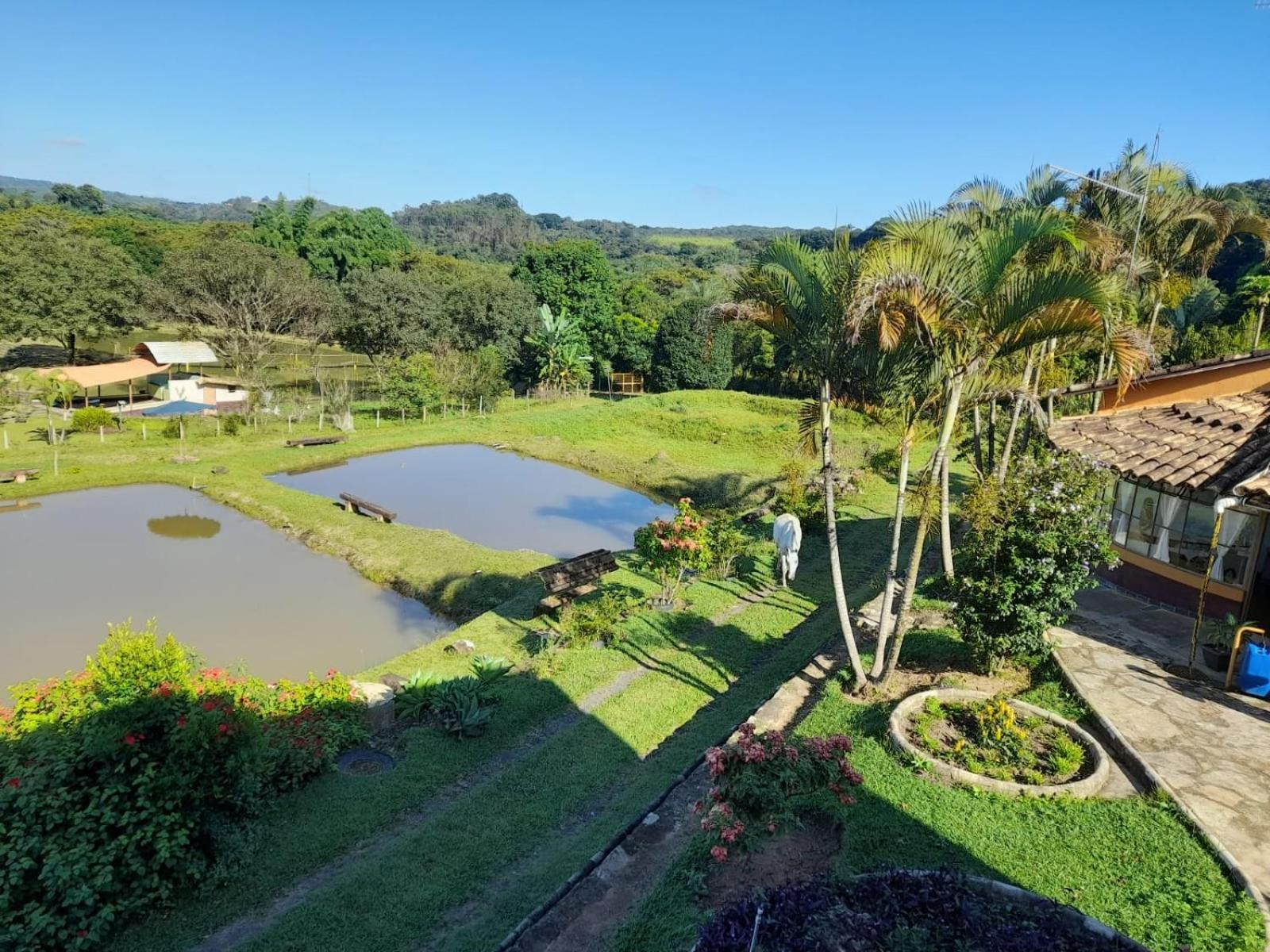 Pousada Balneario Cachoeira Do Moinho Belo Vale Zewnętrze zdjęcie